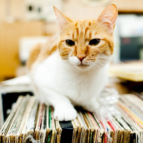 Dr. Dub vinyl culture since 2000