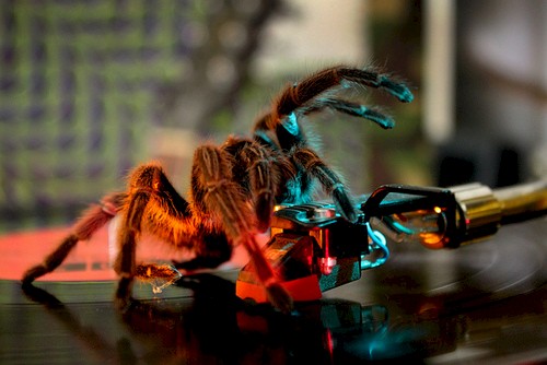 Dr. Dub vinyl culture since 2000