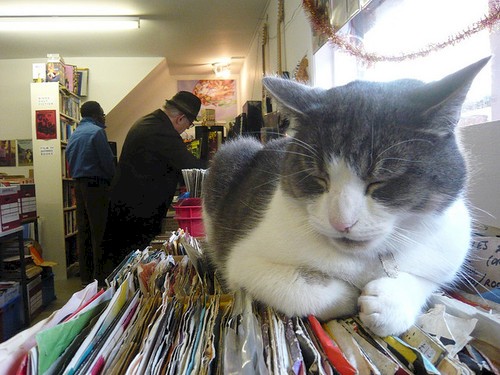 Dr. Dub vinyl culture since 2000